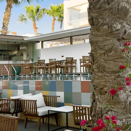 King Jason Paphos - Designed For Adults By Louis Hotels-2